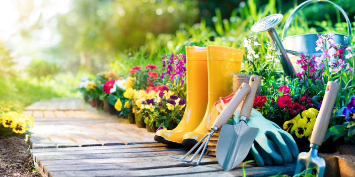 gardening services North Shore