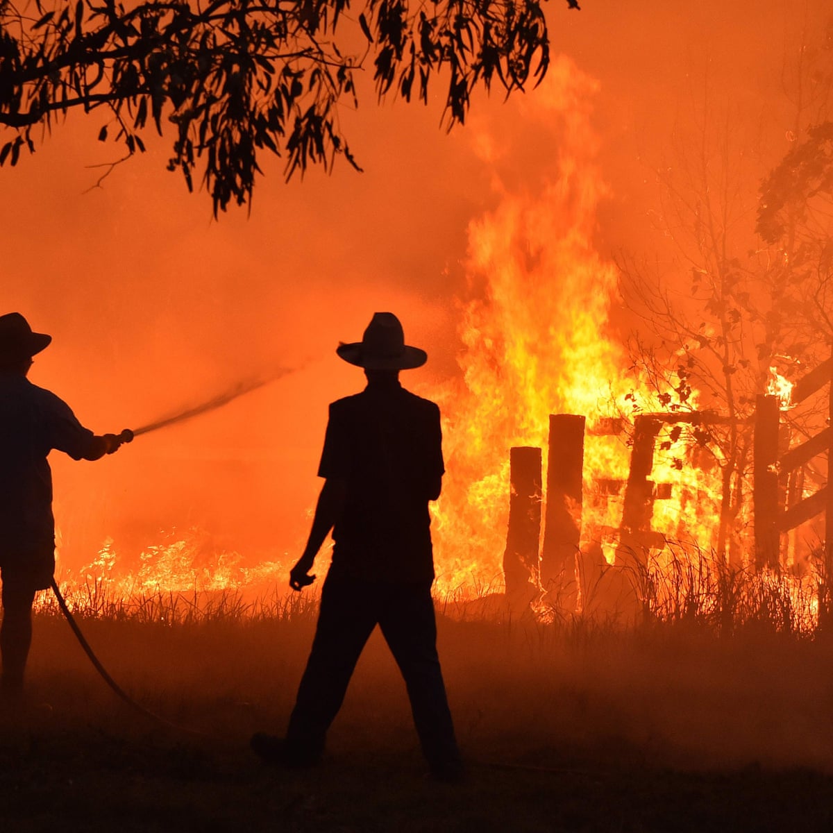 bushfire reports