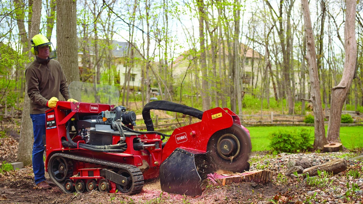 Grind it stump removal
