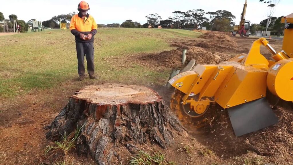 Grind it stump removal