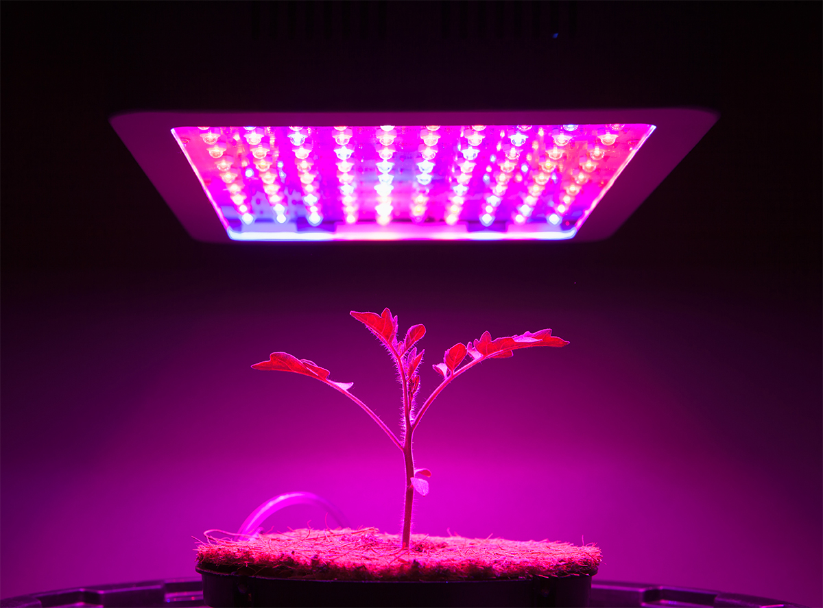 LED grow lights online