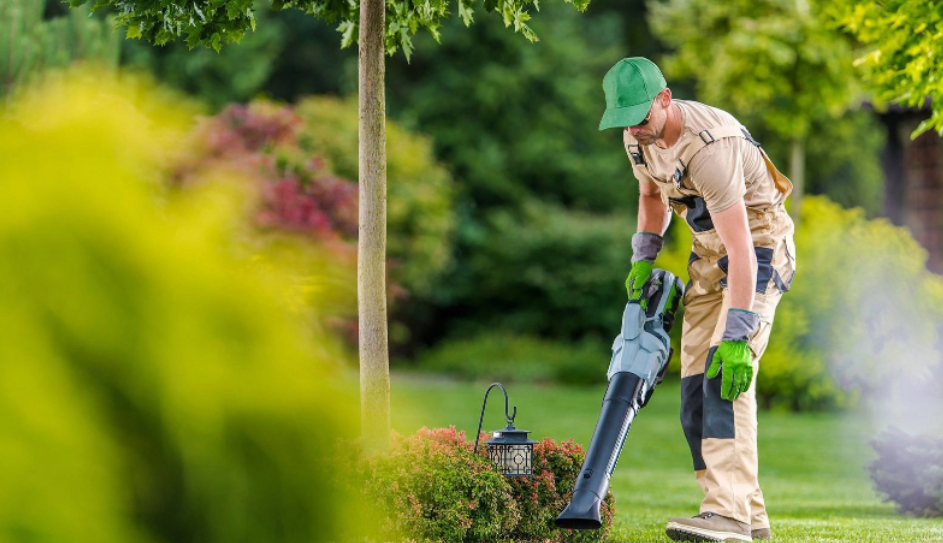 Garden maintenance in Tweed Heads