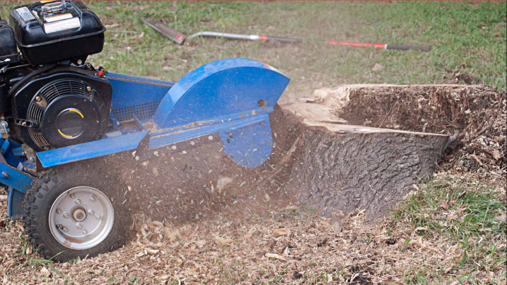 tree stump grinding Auckland