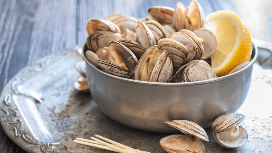 clams in New Zealand