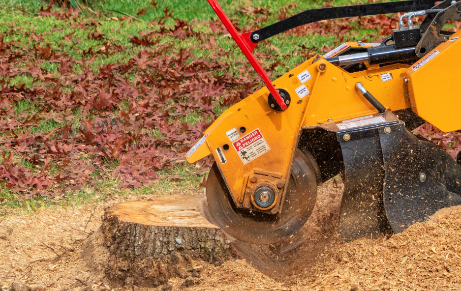 Gold Coast stump grinding